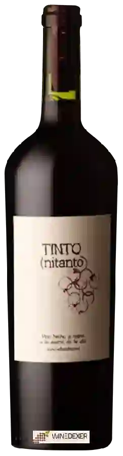 Weingut Terroir Sonoro - Nitanto Tinto Weingut Terroir Sonoro - Nitanto Tinto