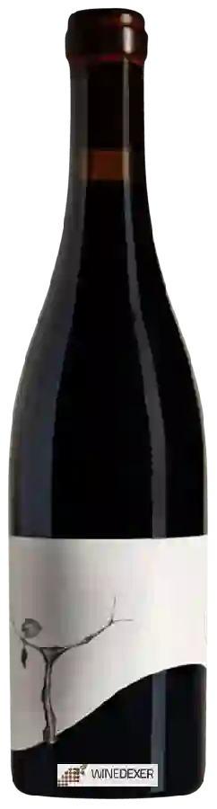 Weingut Taturry - Mosselini Vineyard Pinot Noir Weingut Taturry - Mosselini Vineyard Pinot Noir