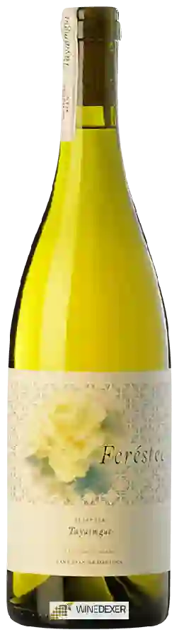 Weingut Tayaimgut - Feréstec Sauvignon Blanc Weingut Tayaimgut - Feréstec Sauvignon Blanc