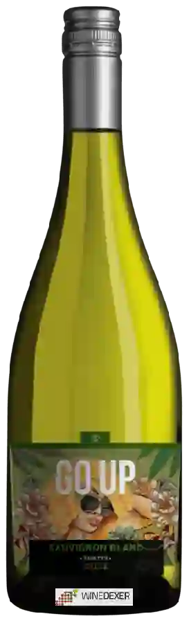 Weingut TDP Wines - Go Up Reserva Sauvignon Blanc Weingut TDP Wines - Go Up Reserva Sauvignon Blanc