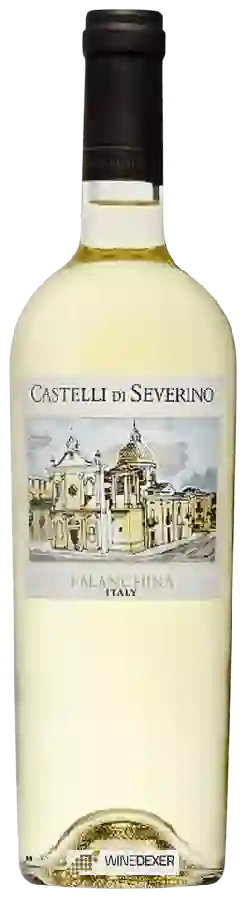 Weingut Teanum - Castelli di Severino Falanghina Weingut Teanum - Castelli di Severino Falanghina