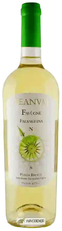 Weingut Teanum - Favùgnë Falanghina Weingut Teanum - Favùgnë Falanghina
