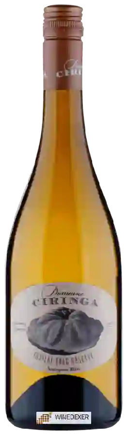 Weingut Tement - Domaine Ciringa Fosilni Breg Reserve Sauvignon Blanc Weingut Tement - Domaine Ciringa Fosilni Breg Reserve Sauvignon Blanc