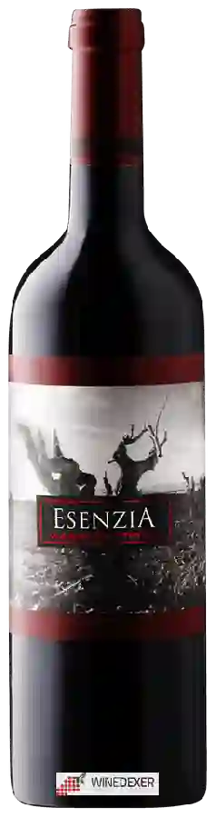 Weingut Tempore - Esenzia Old Vine Tempranillo