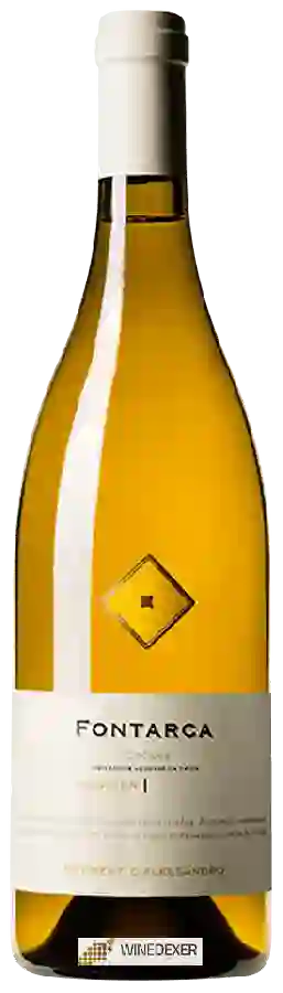 Weingut Tenimenti d’Alessandro - Fontarca
