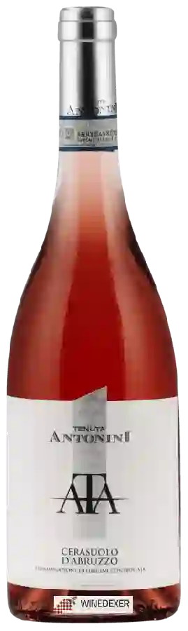 Weingut Tenuta Antonini - Cerasuolo d'Abruzzo Weingut Tenuta Antonini - Cerasuolo d'Abruzzo