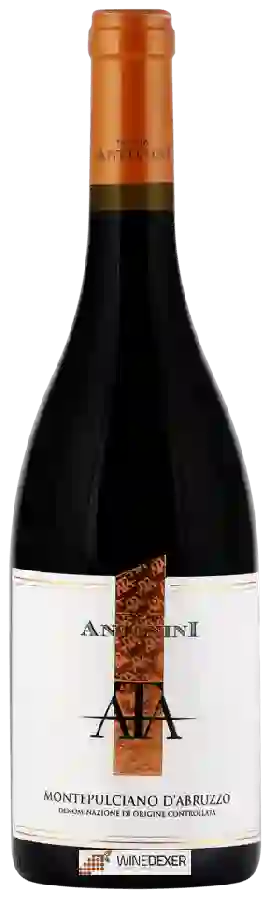 Weingut Tenuta Antonini - Montepulciano d'Abruzzo Weingut Tenuta Antonini - Montepulciano d'Abruzzo