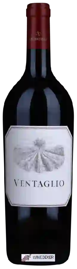 Weingut Tenuta Argentiera - Ventaglio