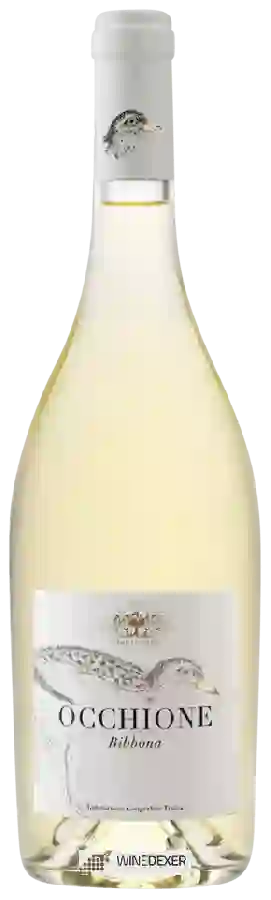 Weingut Biserno - Campo di Sasso Occhione Bibbona