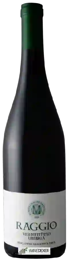 Weingut Tenuta Cavalier Mazzocchi - Raggio Vermentino Weingut Tenuta Cavalier Mazzocchi - Raggio Vermentino