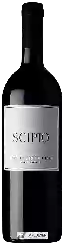 Weingut Tenuta dei Sette Cieli - Scipio