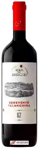 Weingut Tenuta del Meriggio - Benevento Falanghina