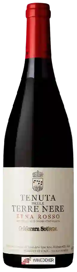 Weingut Tenuta delle Terre Nere - Etna Calderara Sottana Rosso