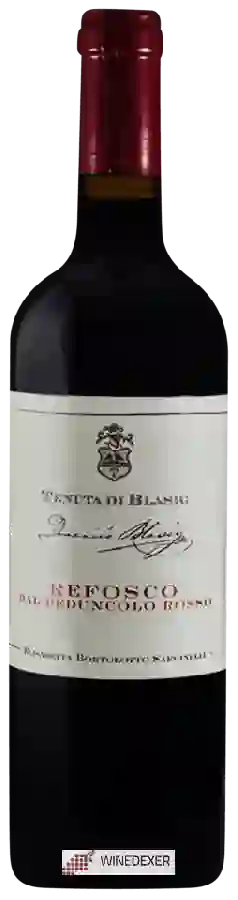 Weingut Tenuta di Blasig - Refosco dal Peduncolo Rosso