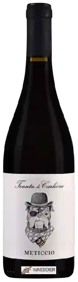 Weingut Tenuta di Carleone - Meticcio Weingut Tenuta di Carleone - Meticcio