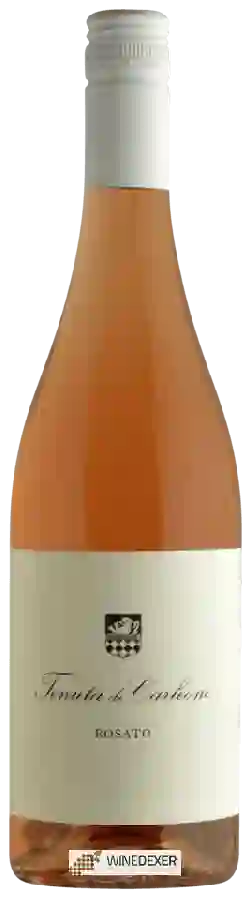 Weingut Tenuta di Carleone - Rosato Weingut Tenuta di Carleone - Rosato
