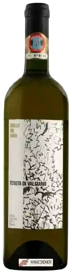Weingut Tenuta di Valgiano - Giallo dei Muri Weingut Tenuta di Valgiano - Giallo dei Muri
