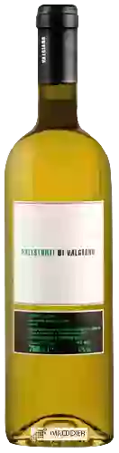 Weingut Tenuta di Valgiano - Palistorti Bianco