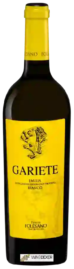 Weingut Tenuta Folesano - Gariete Weingut Tenuta Folesano - Gariete