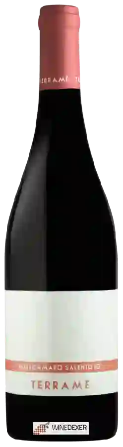 Weingut Tenuta Giustini - Terramè Negroamaro