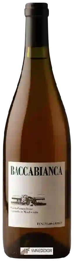 Weingut Tenuta Grillo - Baccabianca Weingut Tenuta Grillo - Baccabianca
