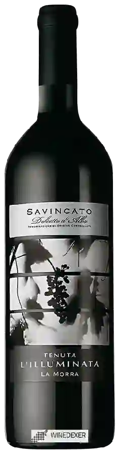 Weingut Tenuta L'Illuminata - Savincato Dolcetto d'Alba Weingut Tenuta L'Illuminata - Savincato Dolcetto d'Alba