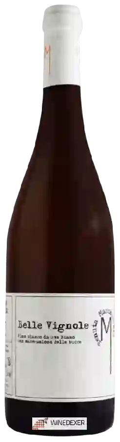 Weingut Tenuta Macchiarola - Belle Vignole Fiano Weingut Tenuta Macchiarola - Belle Vignole Fiano