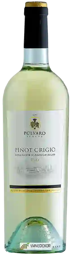 Weingut Tenuta Polvaro - Pinot Grigio Weingut Tenuta Polvaro - Pinot Grigio