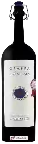 Weingut Tenuta San Guido - Grappa Sassicaia