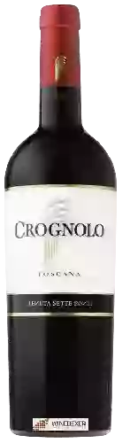 Weingut Tenuta Sette Ponti - Crognolo Toscana