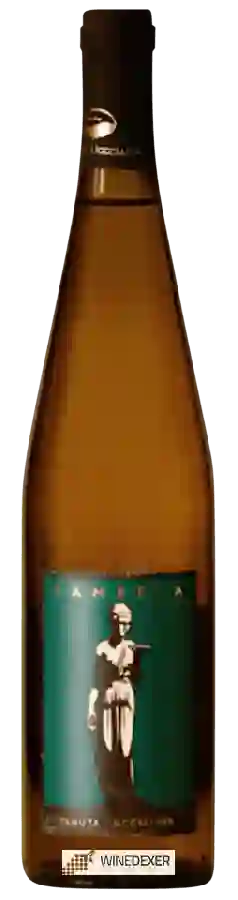 Weingut Tenuta Uccellina - Rambëla Weingut Tenuta Uccellina - Rambëla