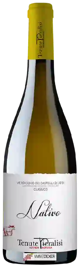 Weingut Tenute Pieralisi - Nativo Verdicchio dei Castelli di Jesi Classico