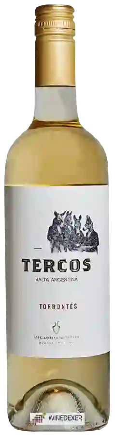 Weingut Tercos - Torrontés Weingut Tercos - Torrontés