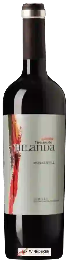 Weingut Hilanda - Arriba Témino de Hilanda Weingut Hilanda - Arriba Témino de Hilanda