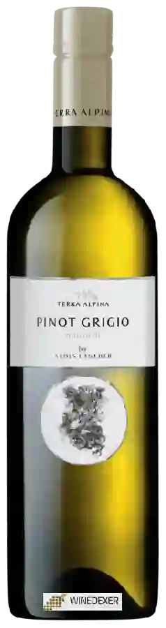 Weingut Terra Alpina - Pinot Grigio Weingut Terra Alpina - Pinot Grigio