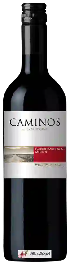 Weingut Terra Andina - Caminos Cabernet Sauvignon - Merlot