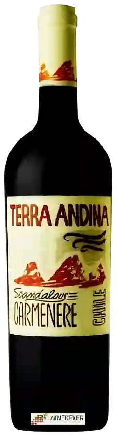 Weingut Terra Andina - Carmenère Scandalous Weingut Terra Andina - Carmenère Scandalous