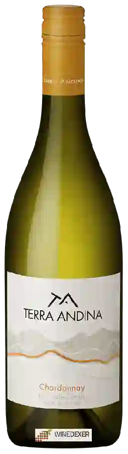 Weingut Terra Andina - Chardonnay