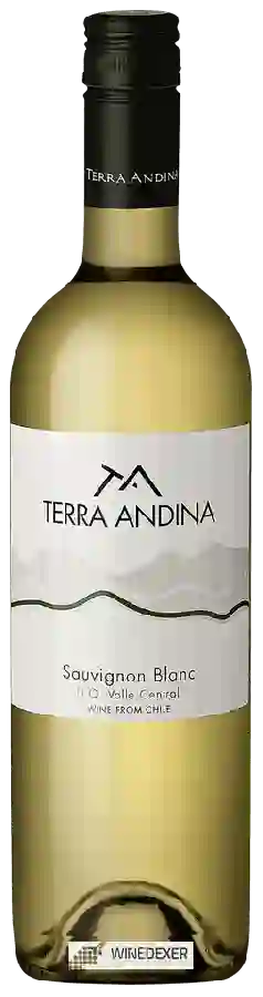 Weingut Terra Andina - Sauvignon Blanc Weingut Terra Andina - Sauvignon Blanc
