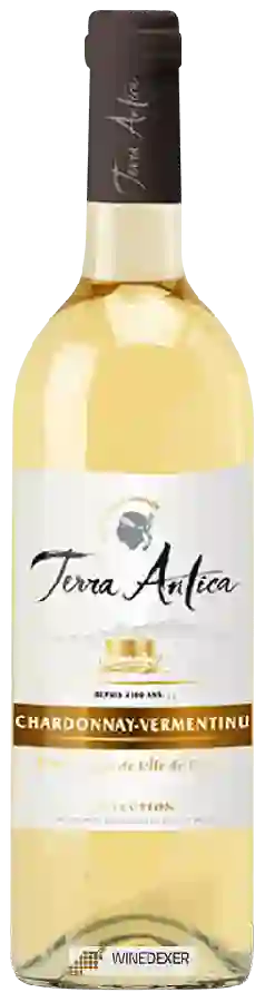 Weingut Terra Antica - Sélection Chardonnay - Vermentinu