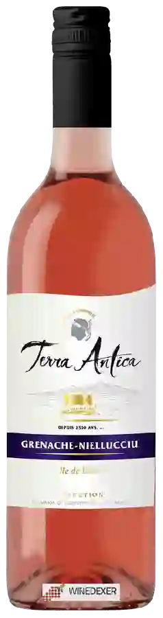 Weingut Terra Antica - Selection Grenache - Niellecciu Rosé Weingut Terra Antica - Selection Grenache - Niellecciu Rosé