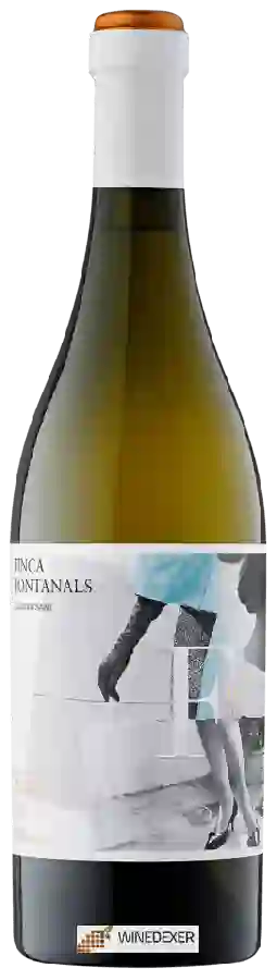 Weingut Terra de Vinyaters - Finca Fontanals Blanc
