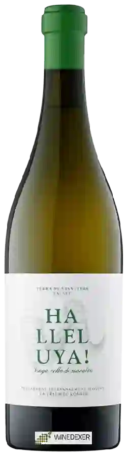 Weingut Terra de Vinyaters - Halleluya! Blanc