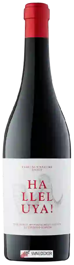 Weingut Terra de Vinyaters - Halleluya!
