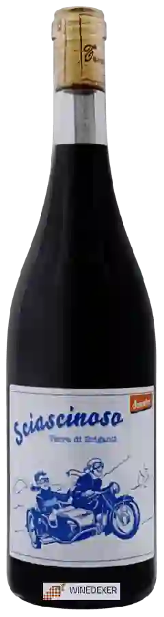 Weingut Terra di Brigante - Sciascinoso Weingut Terra di Brigante - Sciascinoso