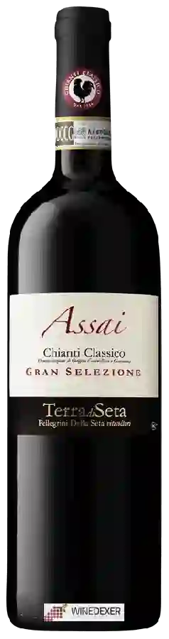 Weingut Terra di Seta - Assai Gran Selezione Chianti Classico