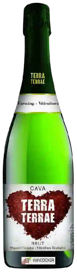 Weingut Terra Terrae - Cava Brut