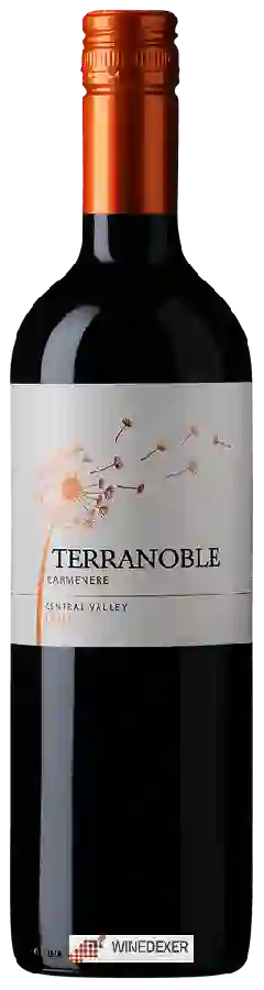 Weingut TerraNoble - Carmenère