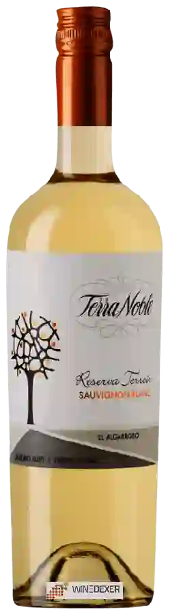 Weingut TerraNoble - Reserva Terroir Sauvignon Blanc (El Algarrobo) Weingut TerraNoble - Reserva Terroir Sauvignon Blanc (El Algarrobo)