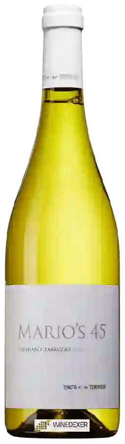 Weingut Tenuta Terraviva - Mario's 45 Trebbiano d'Abruzzo Weingut Tenuta Terraviva - Mario's 45 Trebbiano d'Abruzzo